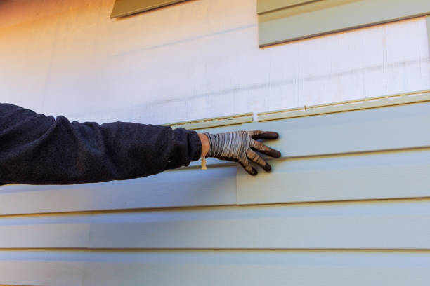 Best Aluminum Siding Installation  in Cedar Falls, IA